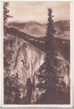 Bnk cp Bucegi - Valea Horoabei - uzata 1950, Circulata, Printata, Dambovita