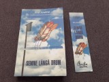 Ivo Andric - Semne langa drum