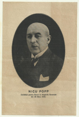 Ilustrata electorala Partidul Poporului Averescu : candidatul Nicu Popp - 1926 foto