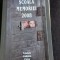 SCOALA MEMORIEI SIGHET 2008 - ROMULUS RUSAN