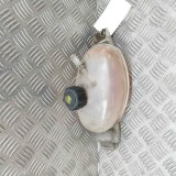 Vas de expansiune RENAULT MASTER III Furgon FV 2017 OEM: 217100015R 29795295