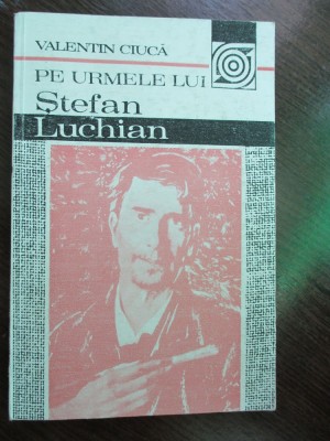 Pe urmele lui Stefan Luchian foto