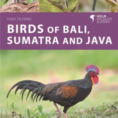 Birds of Bali, Sumatra and Java