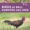 Birds of Bali, Sumatra and Java