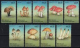 AFRICA CENTRALA 1999 - Ciuperci / serie completa MNH