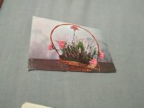 Cumpara ieftin CARTE POSTALA FELICITARE CIRCULATA