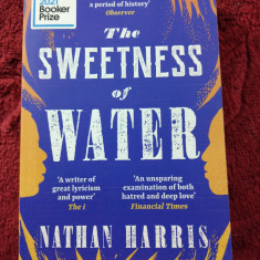 THE SWEETNESS OF WATER - NATHAN HARRIS (CARTE SCRISA ÎN LIMBA ENGLEZA)