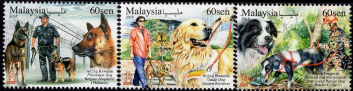 MALAYSIA 2018 FAUNA ANIMALE DOMESTICE CAINI