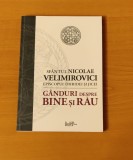 Nicolae Velimirovici - G&acirc;nduri despre bine și r&acirc;u