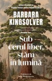 Sub cerul liber stam in lumina - Curtea Veche