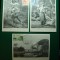ALGERIA 1957 SERIE MAXIME