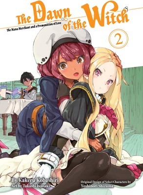 The Dawn of the Witch 2 (Light Novel) foto