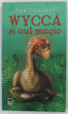 WYCCA SI OUL MAGIC de ANN DOWNER , 2007 foto