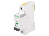 &Icirc;ntrerupător de Supracurent 4A 230V 1P C
