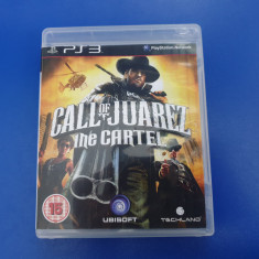 Call of Juarez: The Cartel - joc PS3 (Playstation 3)