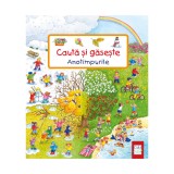 Cumpara ieftin Cauta Si Gaseste - Anotimpurile, Susanne Gernhauser - Editura Casa