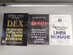 Pachet DEX + DOOM + GRAMATICA foto