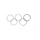 Set segmenti ATV Bashan 250cc, 69mm