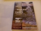 Rivers and Tides - Andy Goldsworthy, dvd
