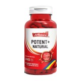 Potent + Natural 60 capsule Adnatura, Adserv