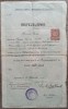 Certificat absolvire al unei eleve evreice// Liceul Public de Fete Cernauti 1911