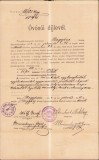 HST A819 Certificat salarizare 1894 educatoare grădiniță Tomnatic Timiș Banat