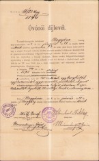 HST A819 Certificat salarizare 1894 educatoare grădiniță Tomnatic Timiș Banat