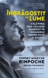 Indragostit de Lume - Yongey Mingyur Rinpoche, Helen Tworkov - Humanitas, 2022, 327 pagini, Brosata, Budism, Stare Foarte Buna