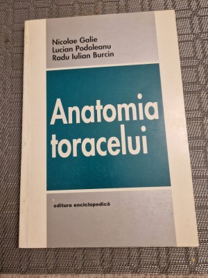 Anatomia toracelui Nicolae Galie foto