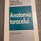 Anatomia toracelui Nicolae Galie