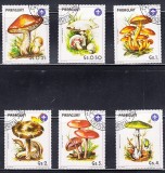 A12 S5 7 - Timbre foarte vechi - Paraguay - ciuperci, Flora, Stampilat