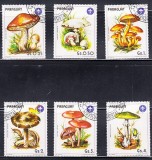 M2 TS3 7 - Timbre foarte vechi - Paraguay - ciuperci, Flora, Stampilat