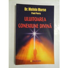 Uluitoarea conexiune divina - Dr. Melvin Morse, Pasul Perry