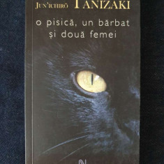 O pisica, un barbat si doua femei – Jun'ichiro Tanizaki