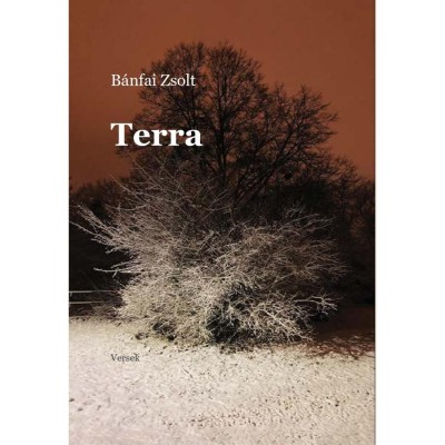 Terra - B&amp;aacute;nfai Zsolt foto