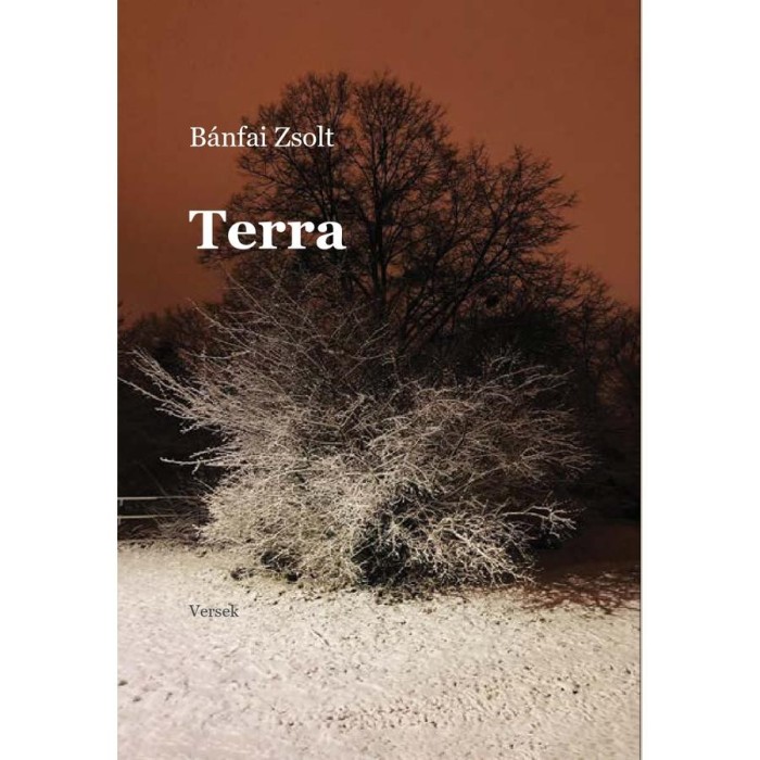Terra - B&aacute;nfai Zsolt