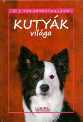 Kuty&amp;aacute;k vil&amp;aacute;ga - Bern&amp;aacute;th Istv&amp;aacute;n foto