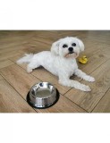 Castron Metalic pentru hranire Animale de Companie 29cm, AVEX