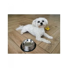 Castron Metalic pentru hranire Animale de Companie 29cm