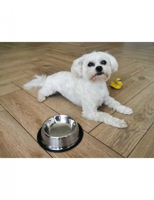 Castron Metalic pentru hranire Animale de Companie 29cm foto