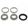 Set Rulmenti Roata Spate,Kia K2700 98-,00613-27-305