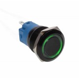 Buton prin Apasare Metalic cu Lumina LED elSales ELS-GQ19, Alimentare 12 V, Lumina Verde, Design Ergonomic,