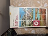 Soumi-terra magica vintage