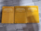 Anatomie patologica vol.I,II si III - I.Moraru