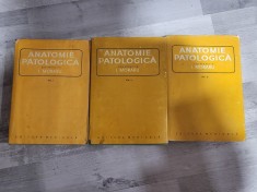 Anatomie patologica vol.I,II si III - I.Moraru
