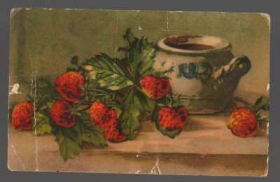 CPIB 19950 CARTE POSTALA - VAS DE LUT, CAPSUNI, RPR foto