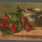 CPIB 19950 CARTE POSTALA - VAS DE LUT, CAPSUNI, RPR