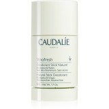 Caudalie Vinofresh deodorant stick 50 g