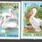 Romania 1984, WWF - PELICANI, serie nestampilata, R26