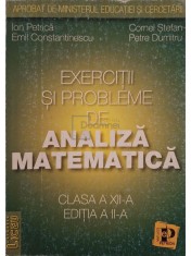 Ion Petrica - Exercitii si probleme de analiza matematica, clasa a XII-a, editia a II-a (Editia: 2002)
